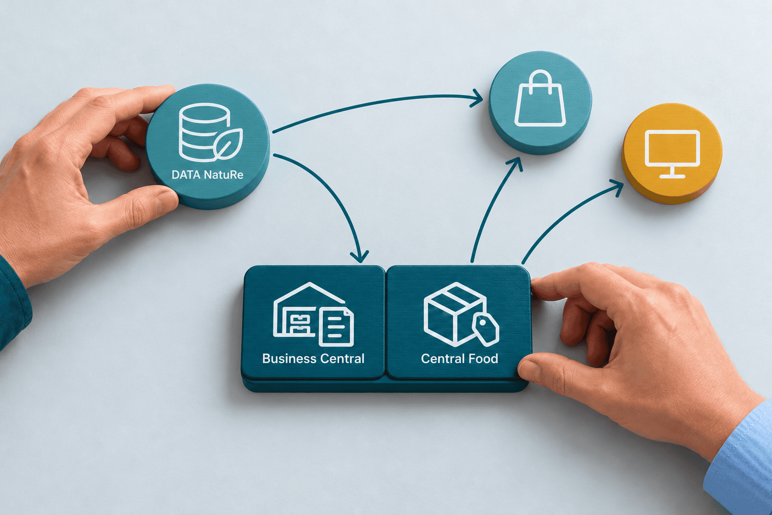 Hands connect DATA NatuRe with the shared foundation of Business Central and Central Food and with other systems.